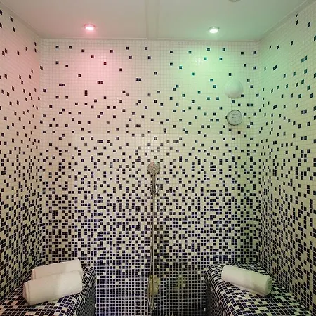 Clarion Toulouse Airport Hotel 4*