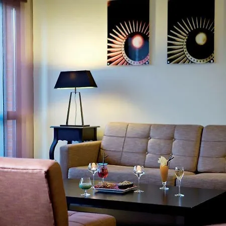 Clarion Toulouse Airport Hotel 4*