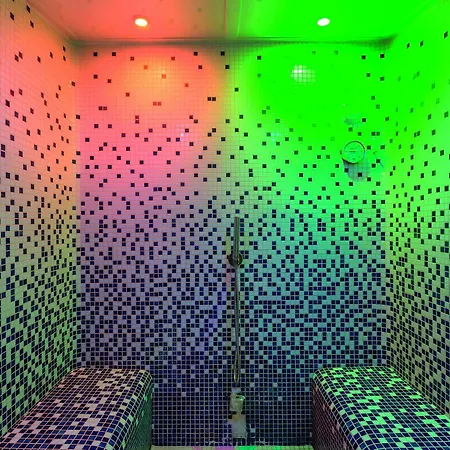 Hotel Clarion Toulouse Airport 4*