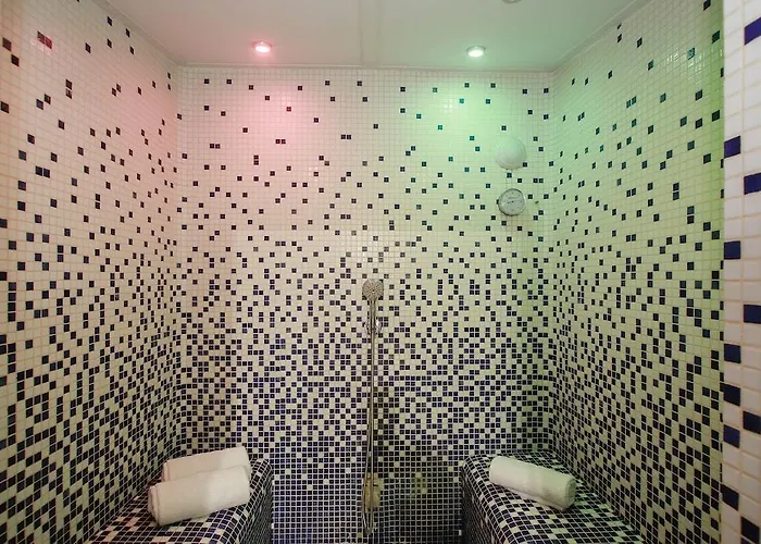 Clarion Toulouse Airport Hotel 4*