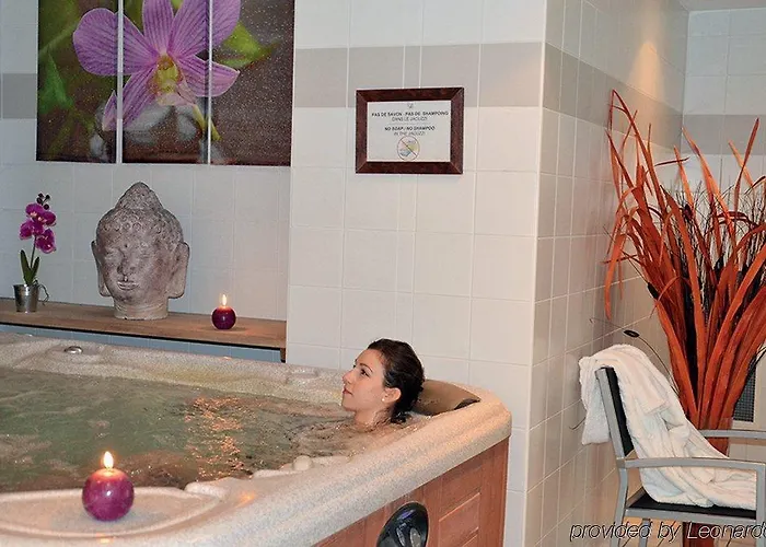 Clarion Toulouse Airport ブラニャック