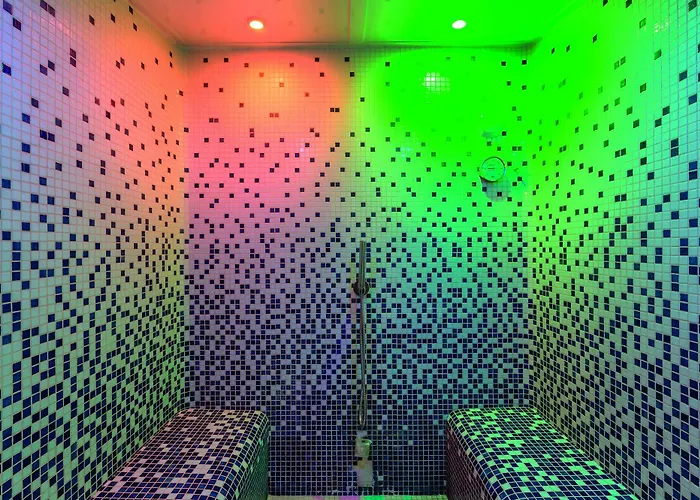 Hotel Clarion Toulouse Airport 4*